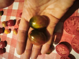 TOMATE DE RACIMO MIX