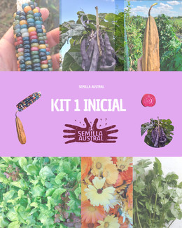 KIT 1 INICIAL