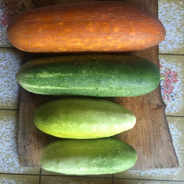 Pepino De Ensalada