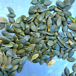 Zapallo Pepón