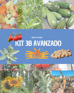 KIT 3B AVANZADO