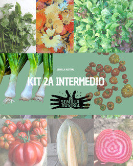 KIT 2A INTERMEDIO