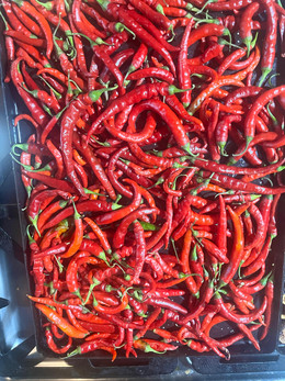 Ají Cayena (Pimiento de Cayena)