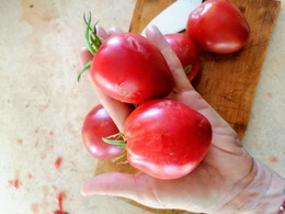 Tomate Corazoncito Rosado