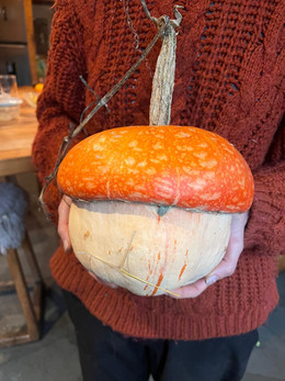 ZAPALLO TURBANTE TURCO