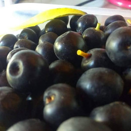 Cereza Capulí