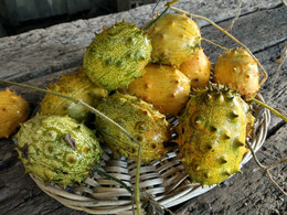 Kiwano