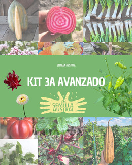 KIT 3A AVANZADO