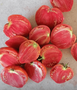 Tomate Corazón De Buey