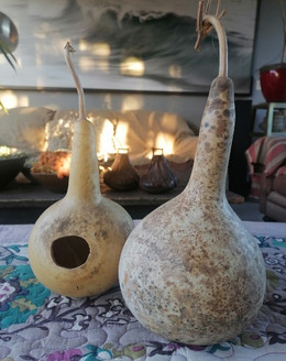 Calabaza Nido
