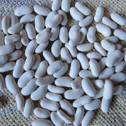Poroto Tocino De Varilla