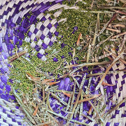 ALFALFA CHILOTA ORGÁNICA