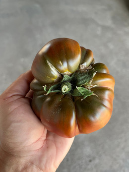 Tomate Cherokee Purple