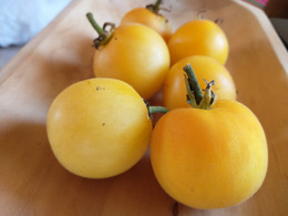 TOMATE PIEL DE DURAZNO ORGÁNICO