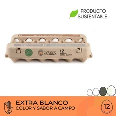 Huevos Extra Blanco Coliumo 12 Unidades