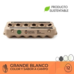 Huevos Grande Blanco Coliumo 12 Unidades