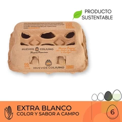 Huevos Extra Blanco Coliumo 6 Unidades