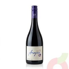 Vino Syrah Amyna 750Cc