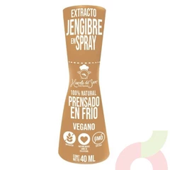  Extracto Jengibre en Spray Huerto del Sur 40Ml