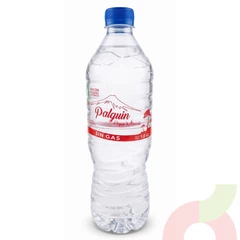 Agua Mineral Sin Gas Palguin 1Lt 