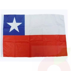 Bandera Fiestas Patrias 60 x 90Cm