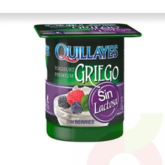 Yoghurt Griego Sin Lactosa Berries Quillayes 110Gr 