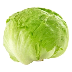Lechuga Escarola por Unidad 