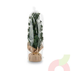 Mini Árbol de Navidad Decorativo