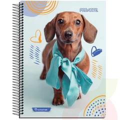 Cuaderno Carta Animales  150 Hojas 7mm ProArte