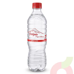 Agua Mineral Sin Gas Palguin 600Ml