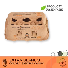 Huevos Extra Blanco Coliumo 6 Unidades