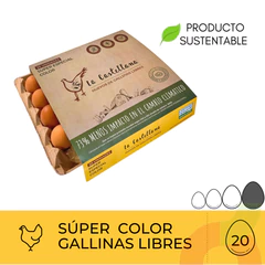 Huevos Super Color La Castelllana 20 Unidades