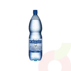 Agua con Gas Cachantun 1.6Lt 