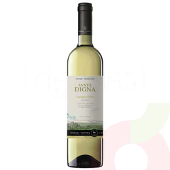 Vino Sauvignon Blanc Santa Digna 750Cc