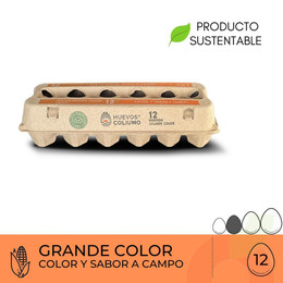 Huevos Grande Color Coliumo 12 Unidades
