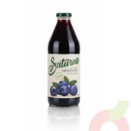 Néctar Arándano Saturno 1Lt