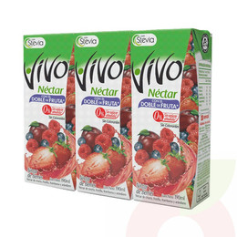Néctar Berries Vivo 190Ml 3 Unidades