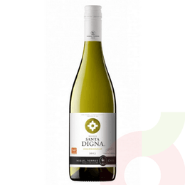 Vino Chardonnay Santa Digna 750Cc