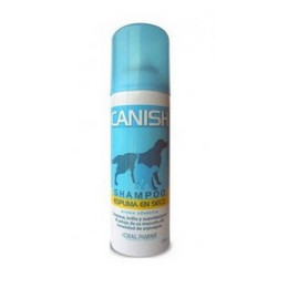 Shampoo Espuma en Seco Canish 160Ml