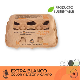 Huevos Extra Blanco Coliumo 6 Unidades