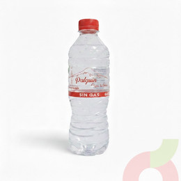 Agua Mineral Sin Gas Palguin 600 Cc