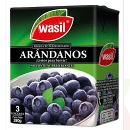 Arándanos al Jugo Tetra Wasil 380Gr