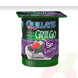 Yoghurt Griego Sin Lactosa Berries Quillayes 110Gr 