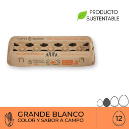 Huevos Grande Blanco Coliumo 12 Unidades
