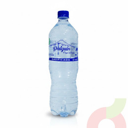 Agua Mineral Con  Gas Palguin 1Lt