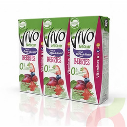 Pack Néctar Berries Vivo 190Ml 3 Unidades
