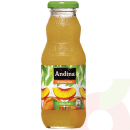 Néctar Durazno Andina del Valle 300ml