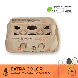 Huevos Extra Color Coliumo 6 Unidades