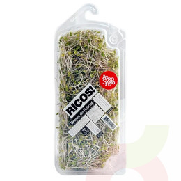 Brote Brocoli 70Gr Agrosano 