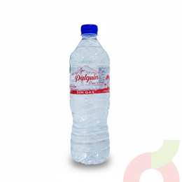 Agua Mineral Sin Gas Palguin 1Lt 